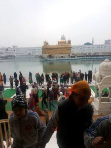 golden temple4