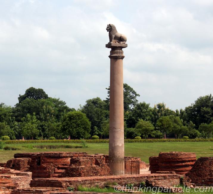 வைசாலியில் உள்ள அசோக ஸ்தம்பம்  