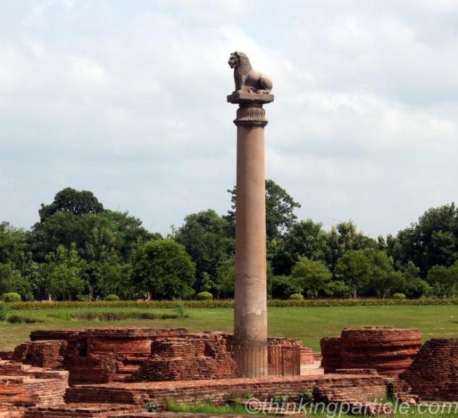 வைசாலியில் உள்ள அசோக ஸ்தம்பம்  